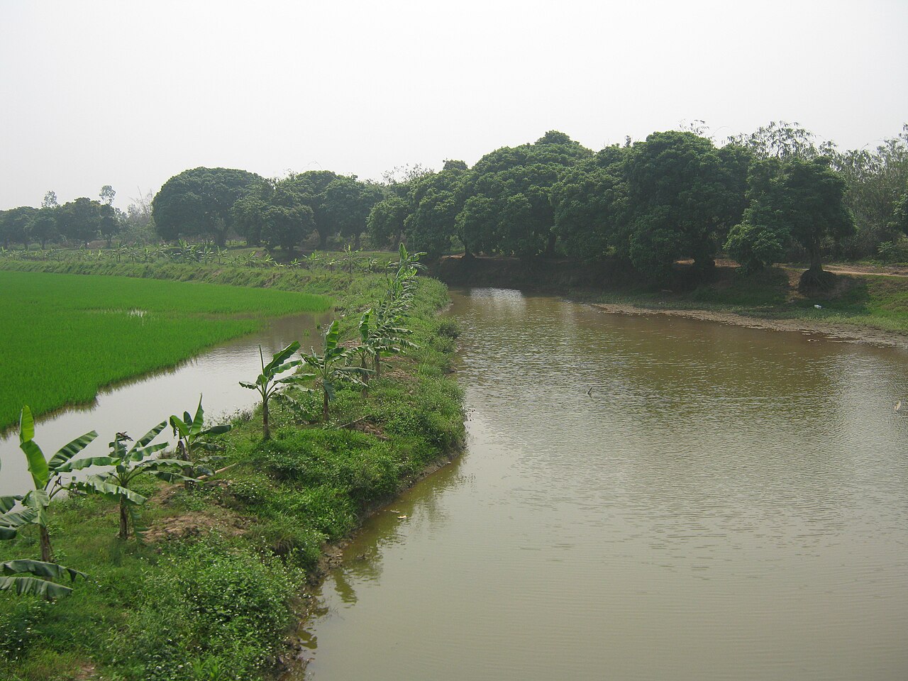 Delta Reserve fotoğrafı