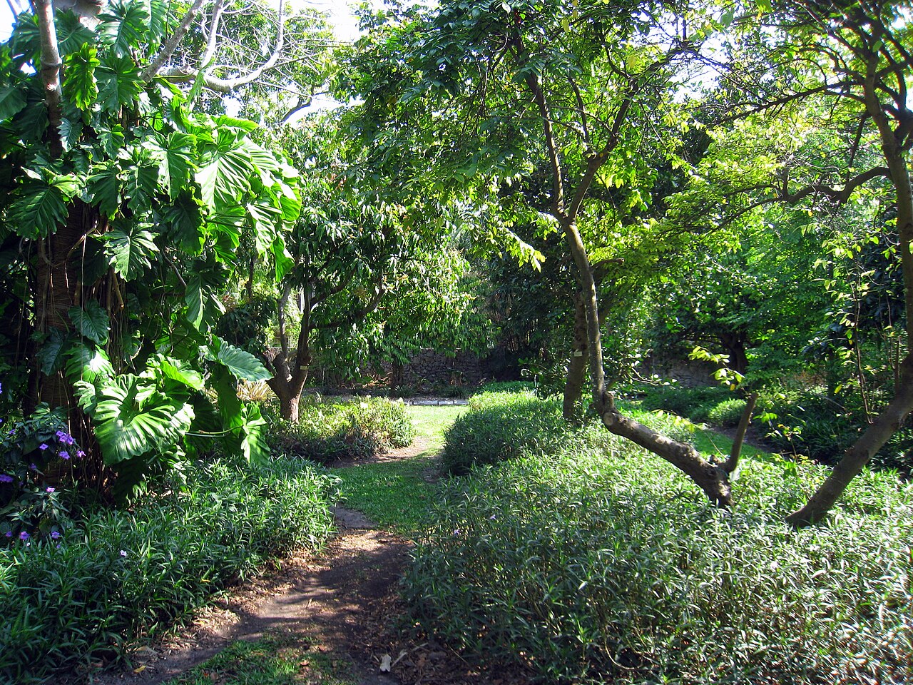 The Kampong의 사진