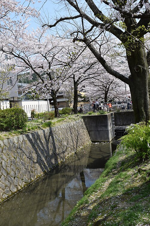 Philosopher's Walk