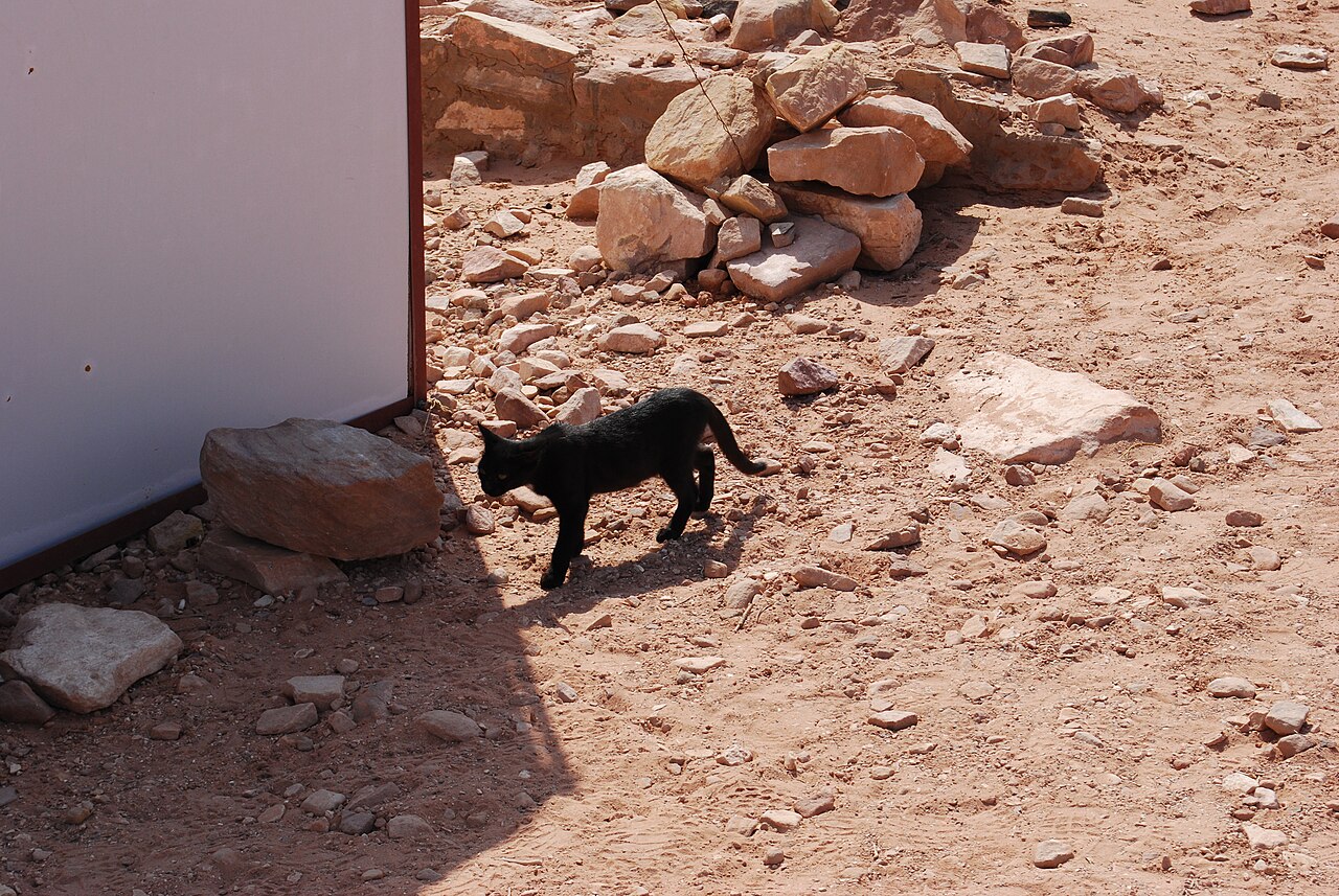 صورة المذبح