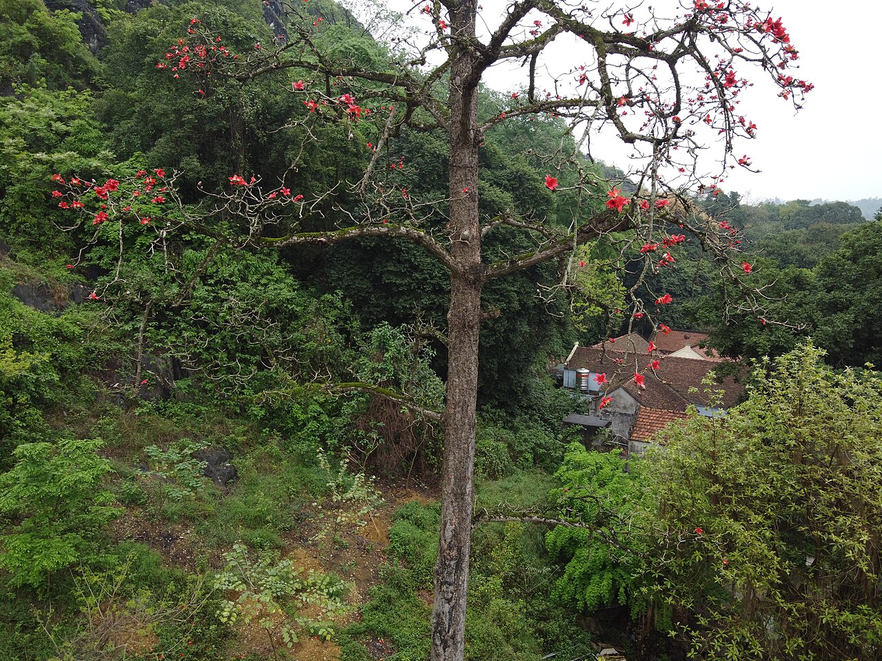 A photograph of Chùa Trầm