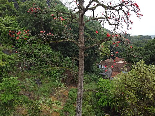 Chùa Trầm