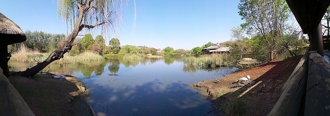 Austin Reserve fotoğrafı