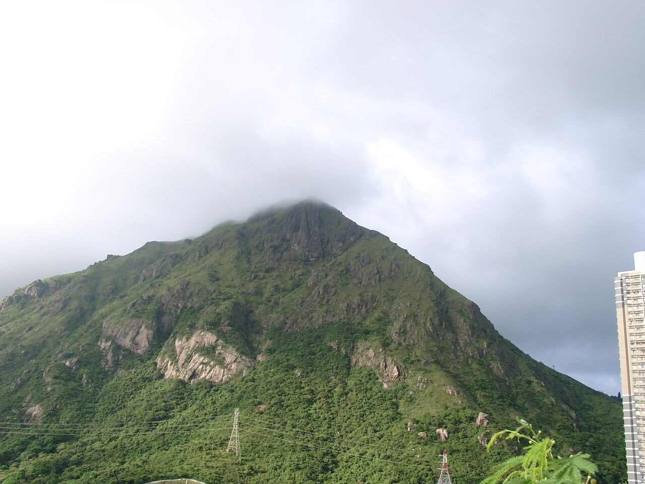 구룡산