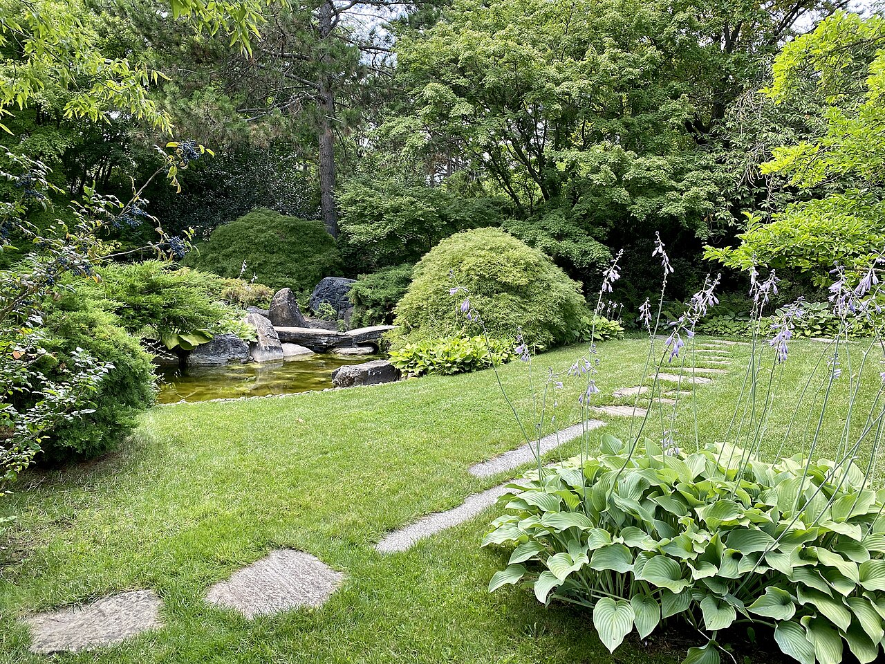 Japanese Garden Oberlaa
