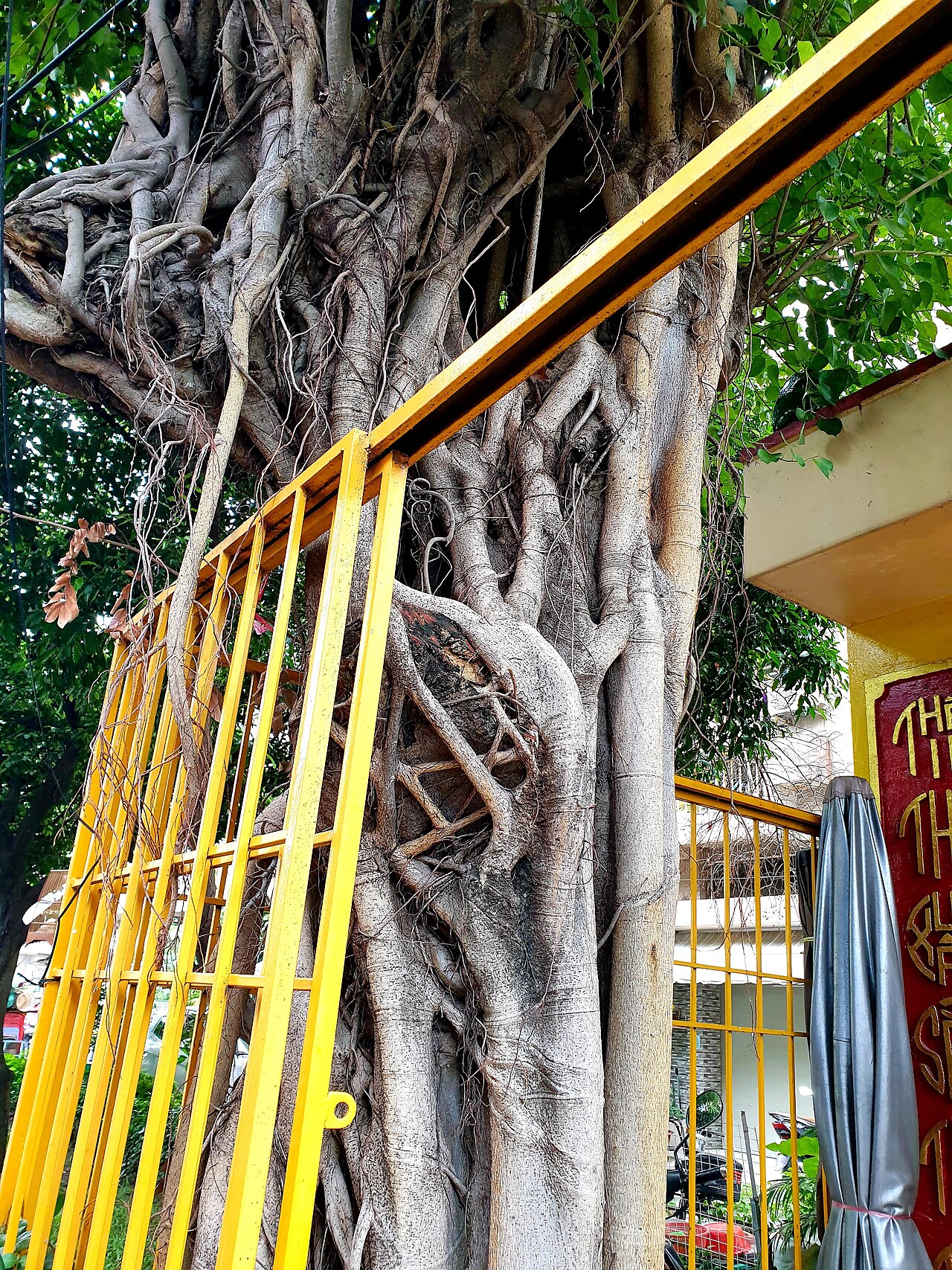 Ngũ Hành Miếu fotoğrafı