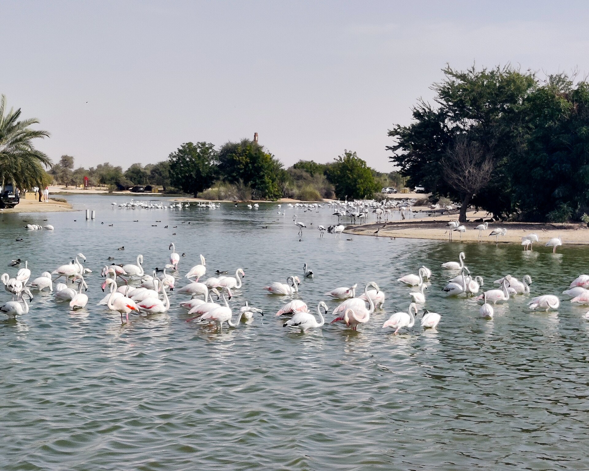 بحيرات القدرة