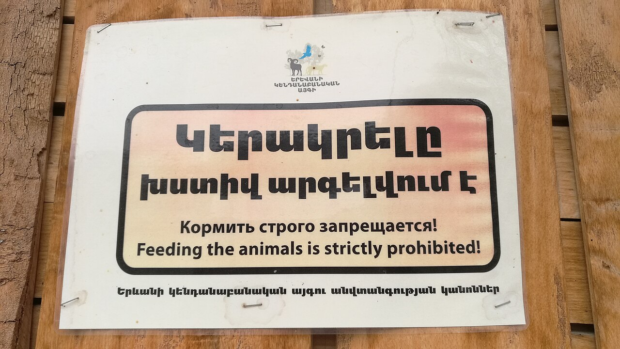 Una fotografia di zoo di Erevan