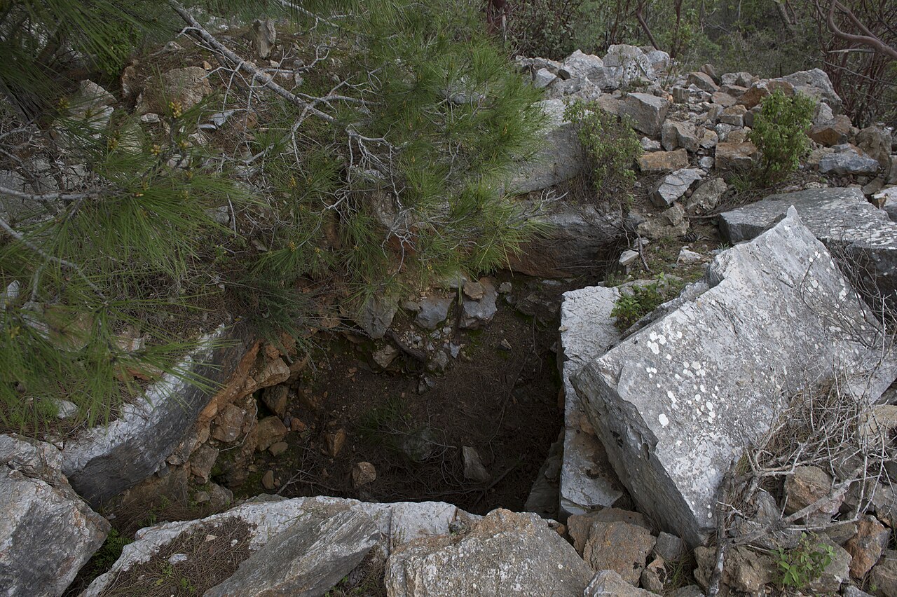 Una fotografía de Hamaxia