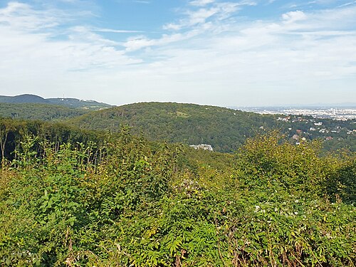 Schafberg