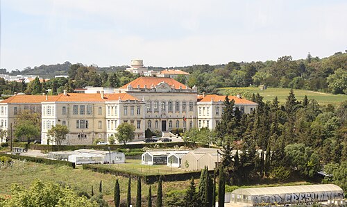 Tapada da Ajuda