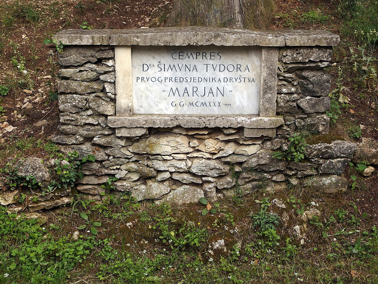 A photograph of Marjan Forest Park