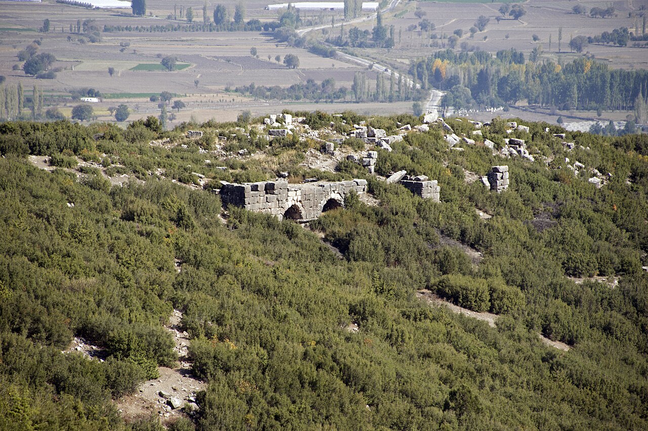 صورة كيبايرا