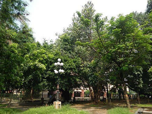 Mehan Garden