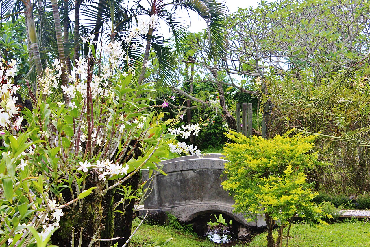 Ein Foto von Bali Orchideen Garten