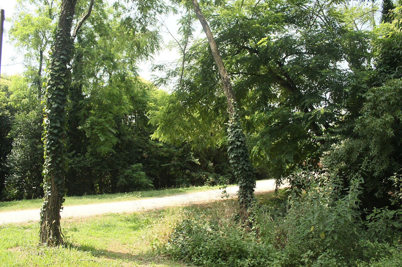 Ein Foto von Festung Marghera