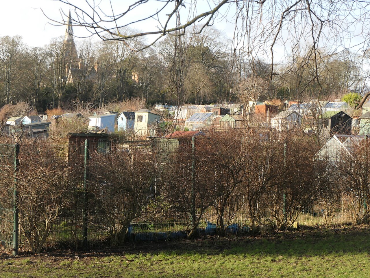 A photograph of Inverleith Park