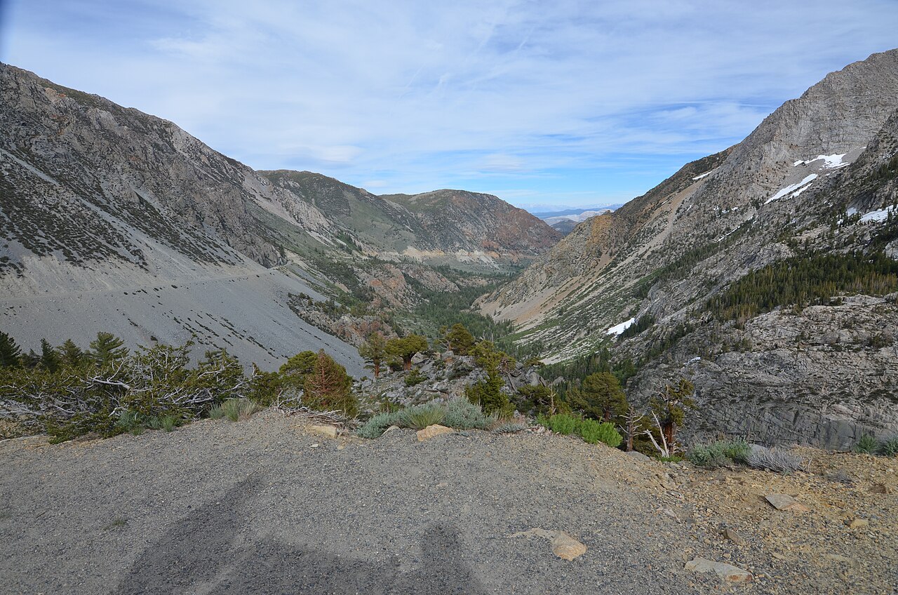 Road view