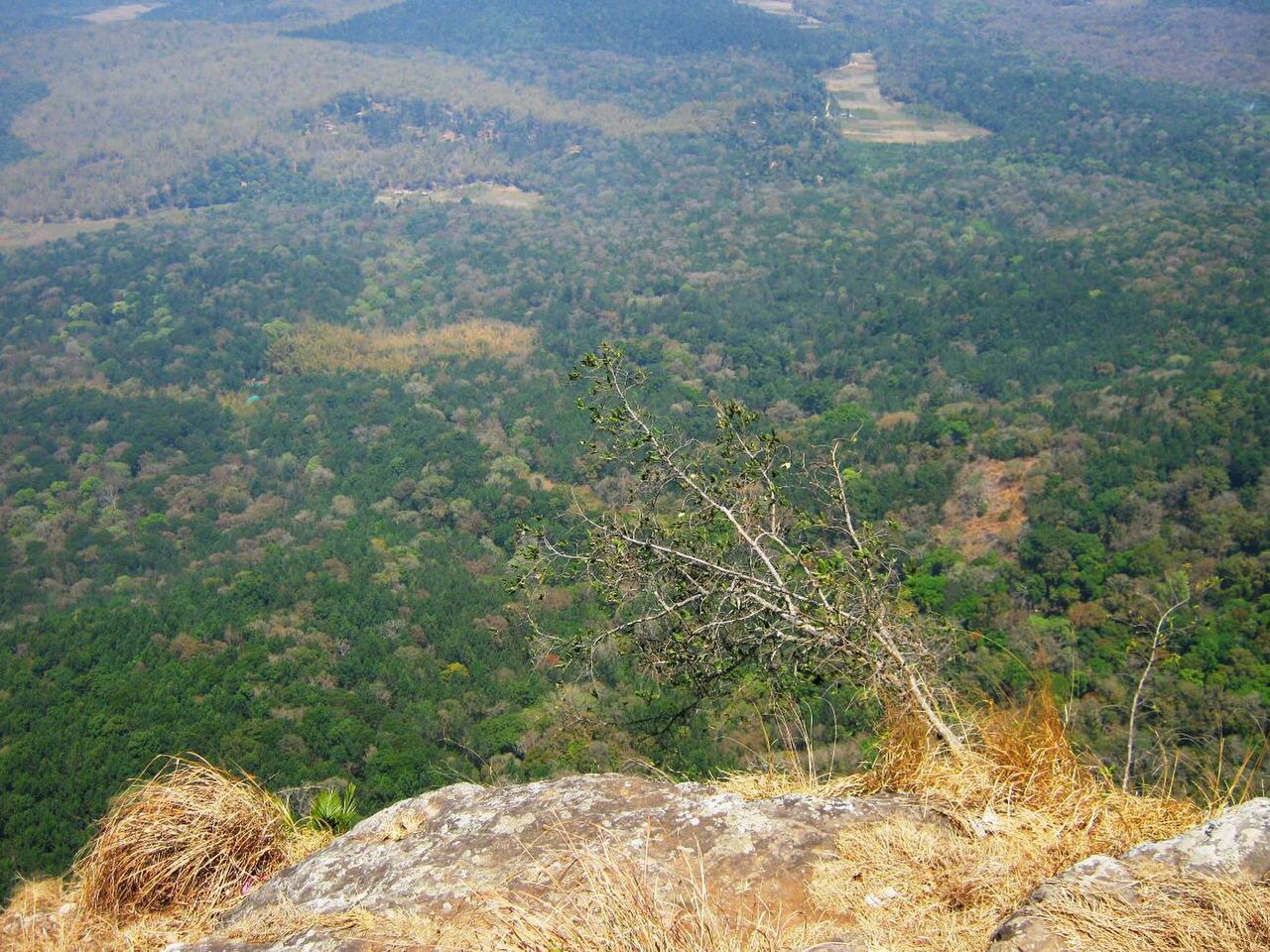 Scenic View fotoğrafı