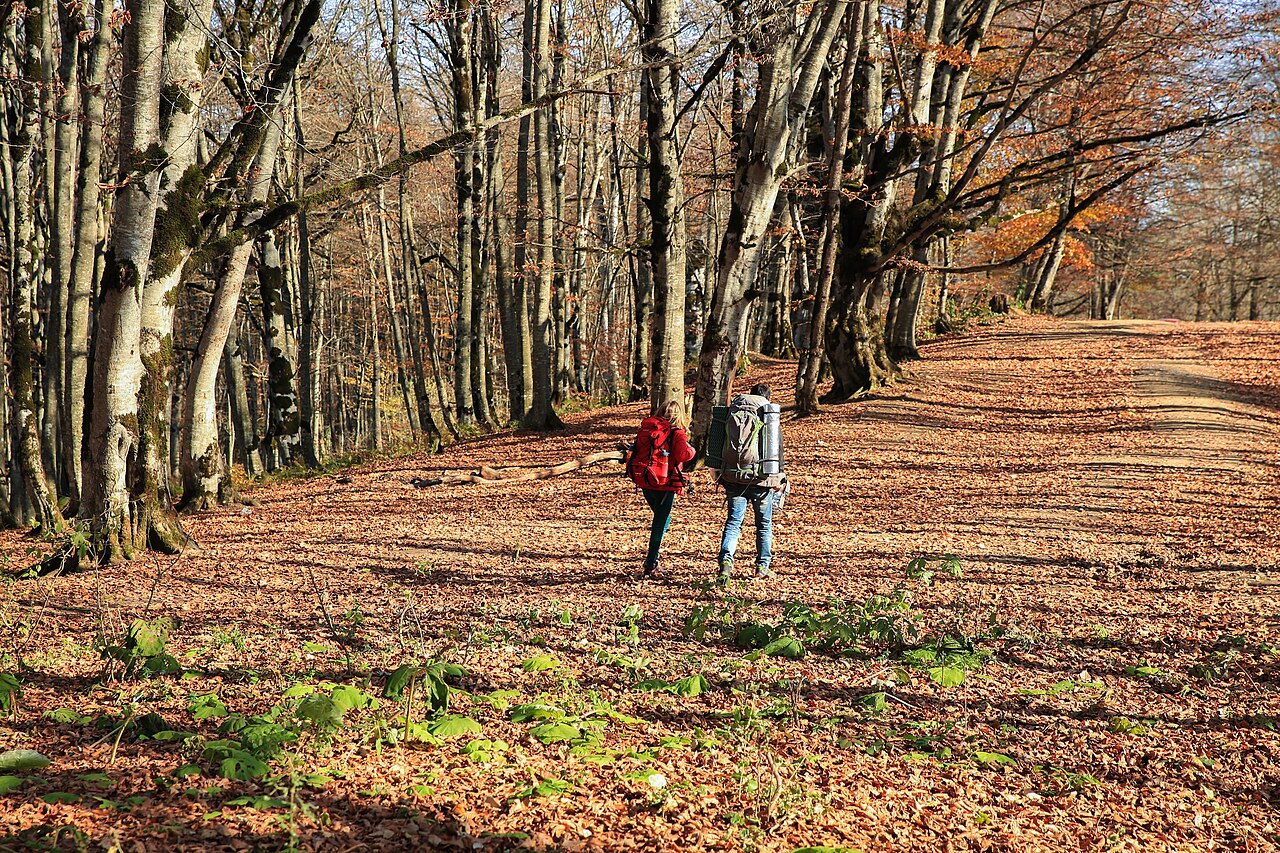 Ein Foto von Nationalpark Tiflis