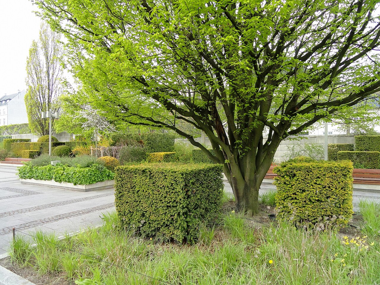 A photograph of Amaliehaven