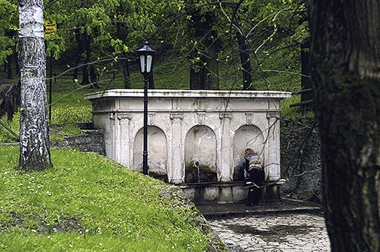 Eichen- und Hainbuchenwald bei Hajdučka česma