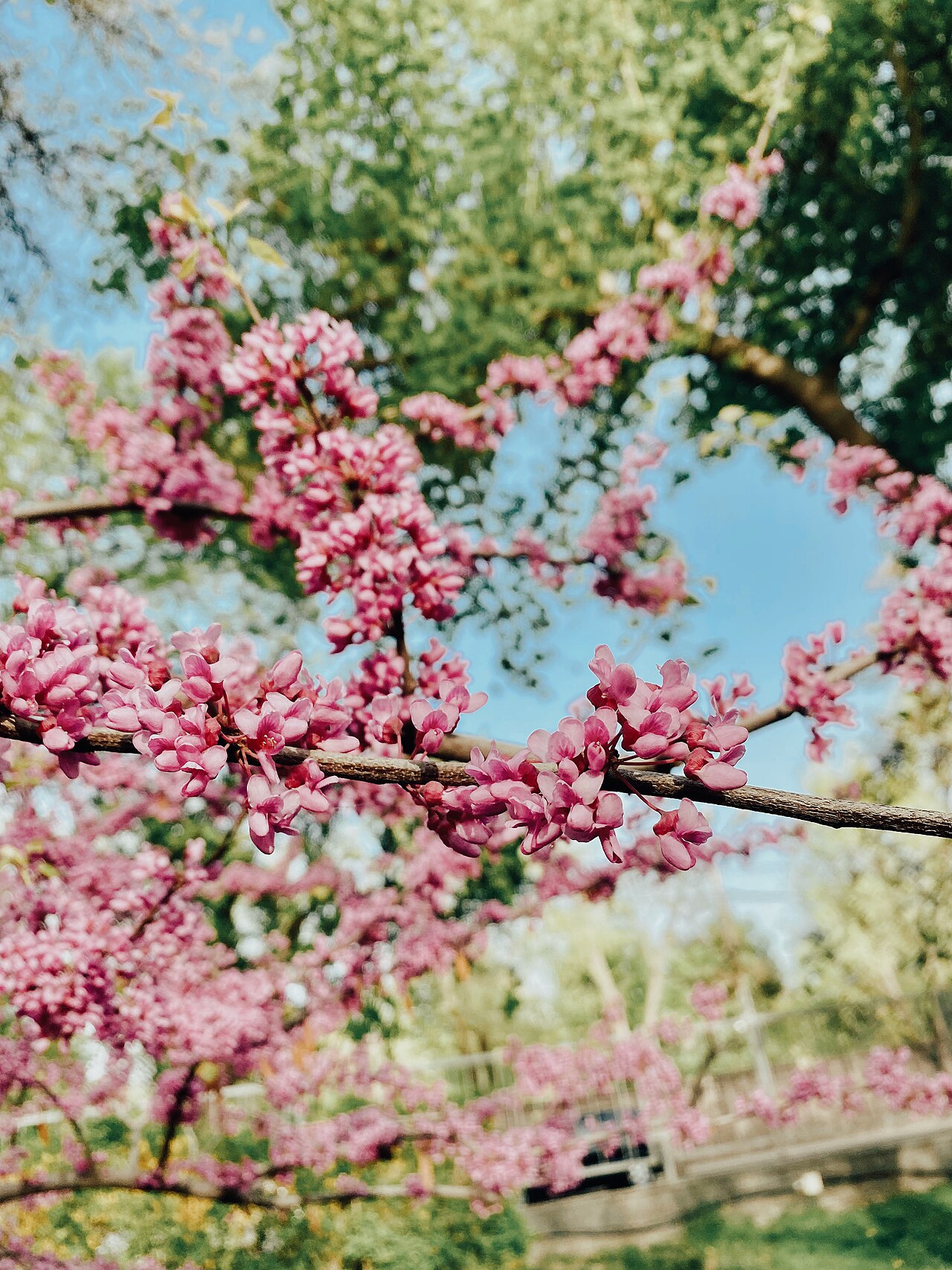 Una fotografía de Parque de los Enamorados