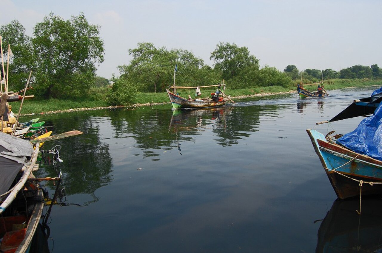 Muara Angke Wildlife Preserve
