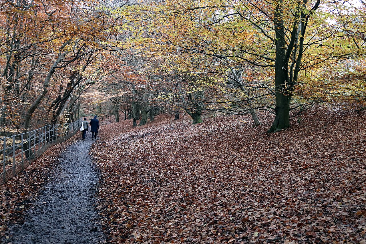 A photograph of Linn Park