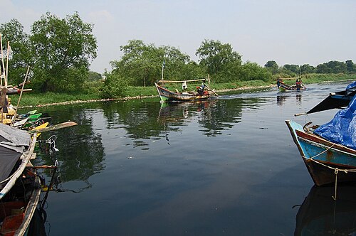 Muara Angke Wildlife Preserve