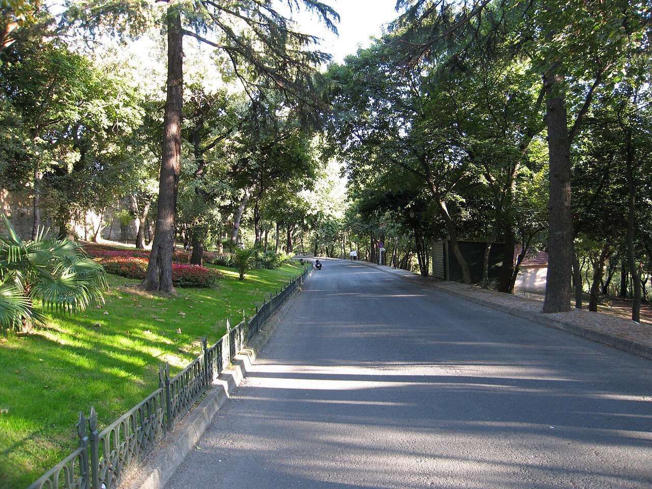 Yıldız-Park