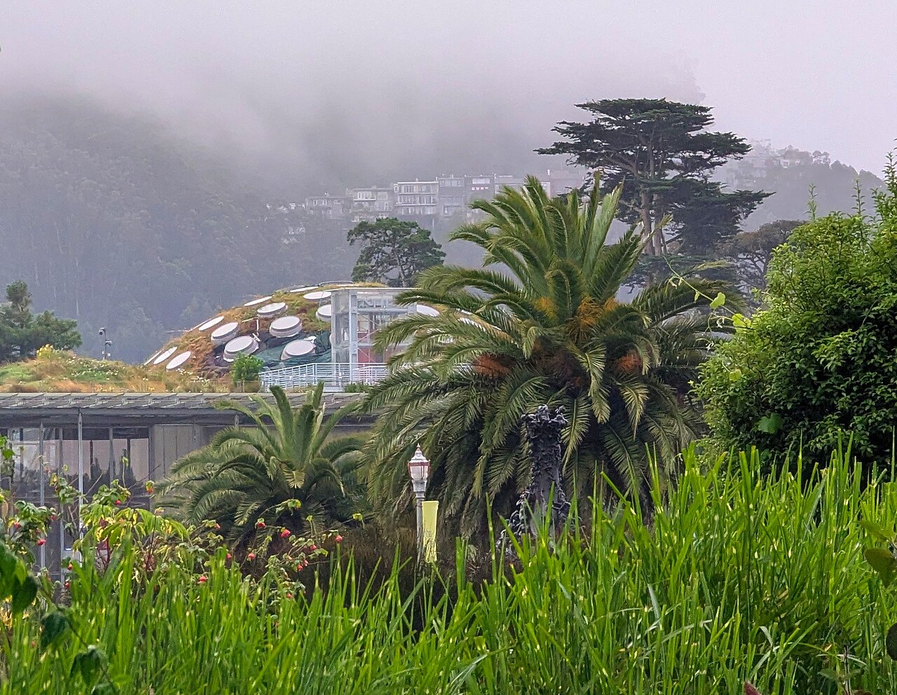 California Bilimler Akademisi Binası fotoğrafı