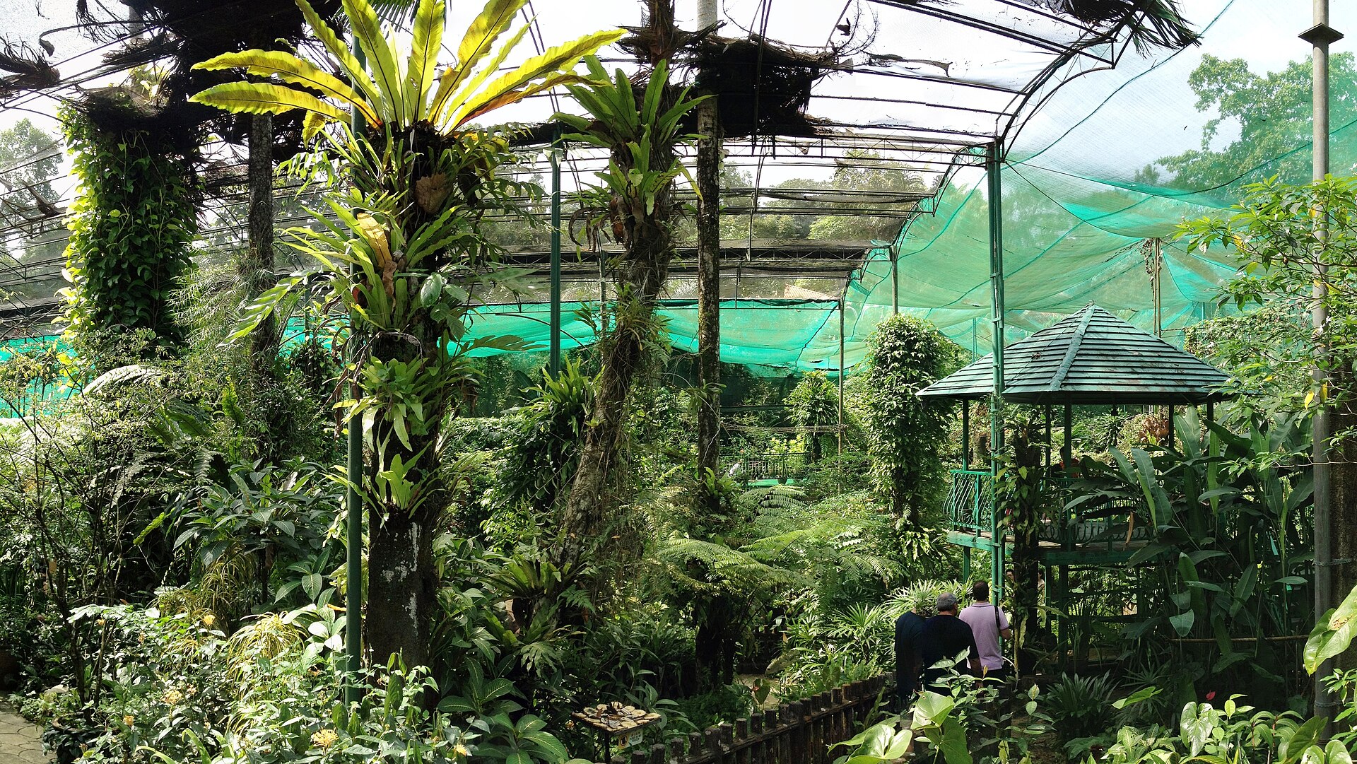 Kuala Lumpur Kelebek Parkı