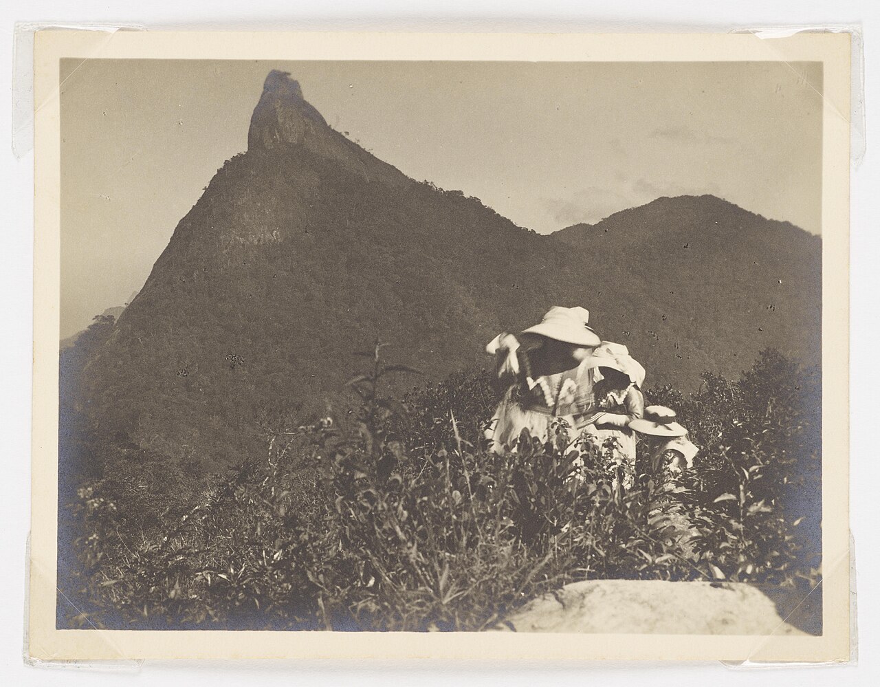 Mirante Dona Marta