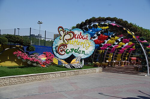 Jardin aux papillons de Dubaï