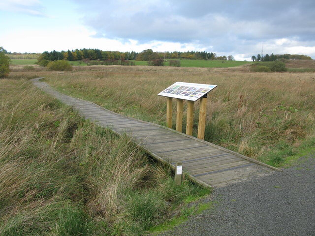 A photograph of Cathkin Braes