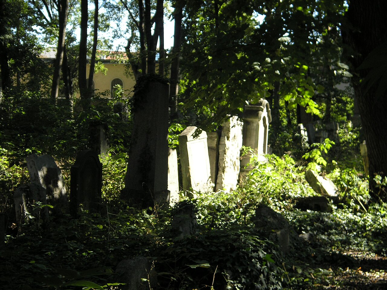 Jewish cemetery in Währing