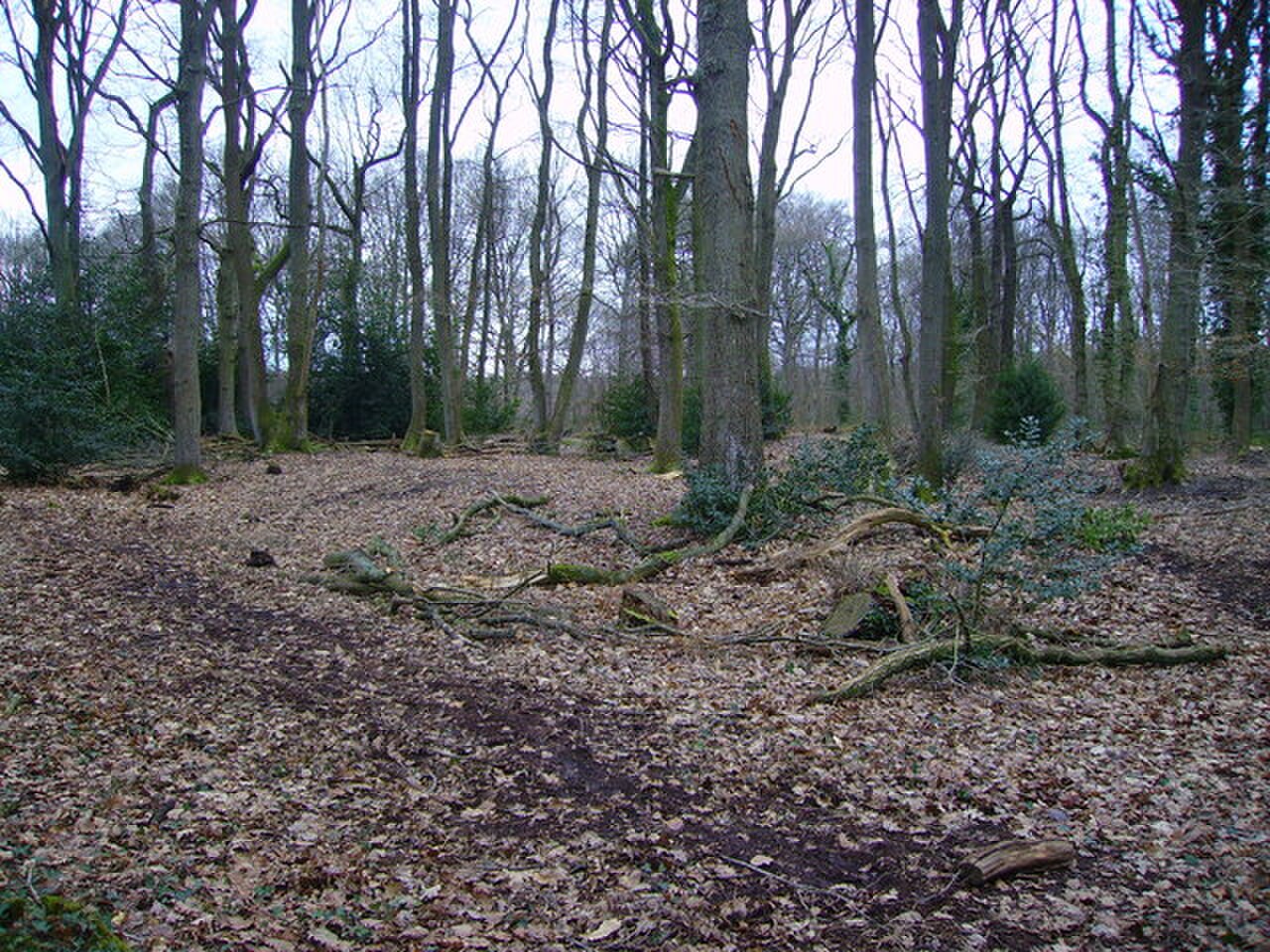 Woodlands Reserve fotoğrafı