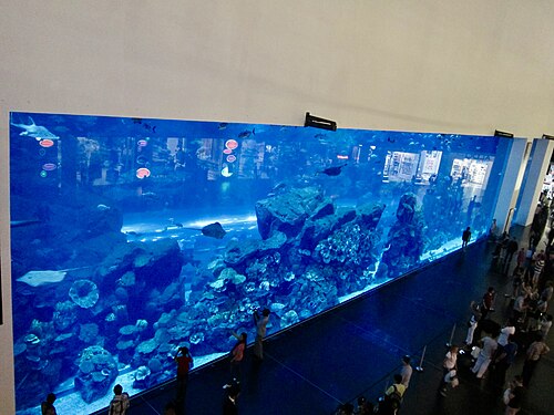 Aquarium de Dubaï et zoo sous-marin