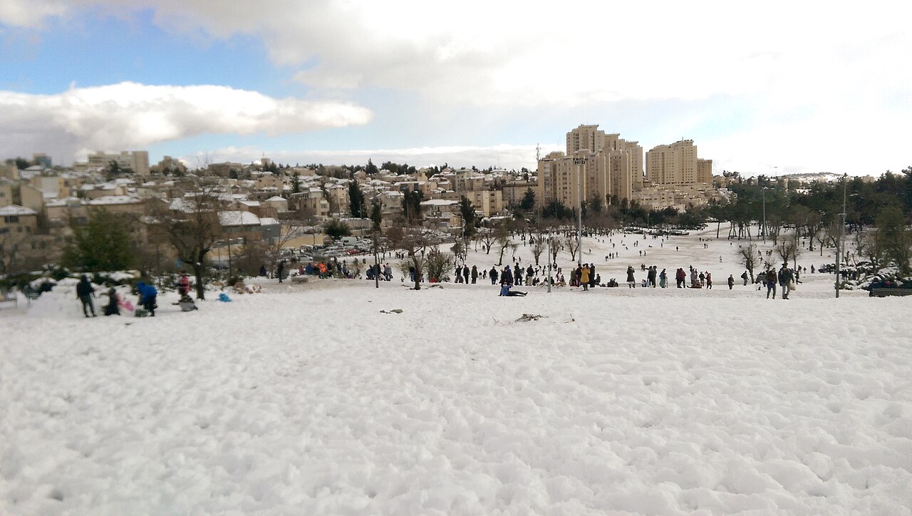 A photograph of Sacher Park