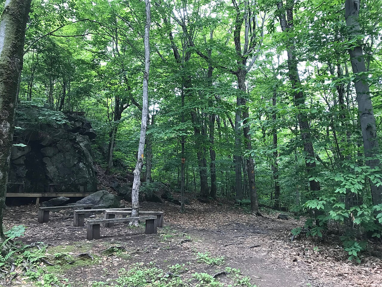 Parc Valéro-Les Écarts fotoğrafı