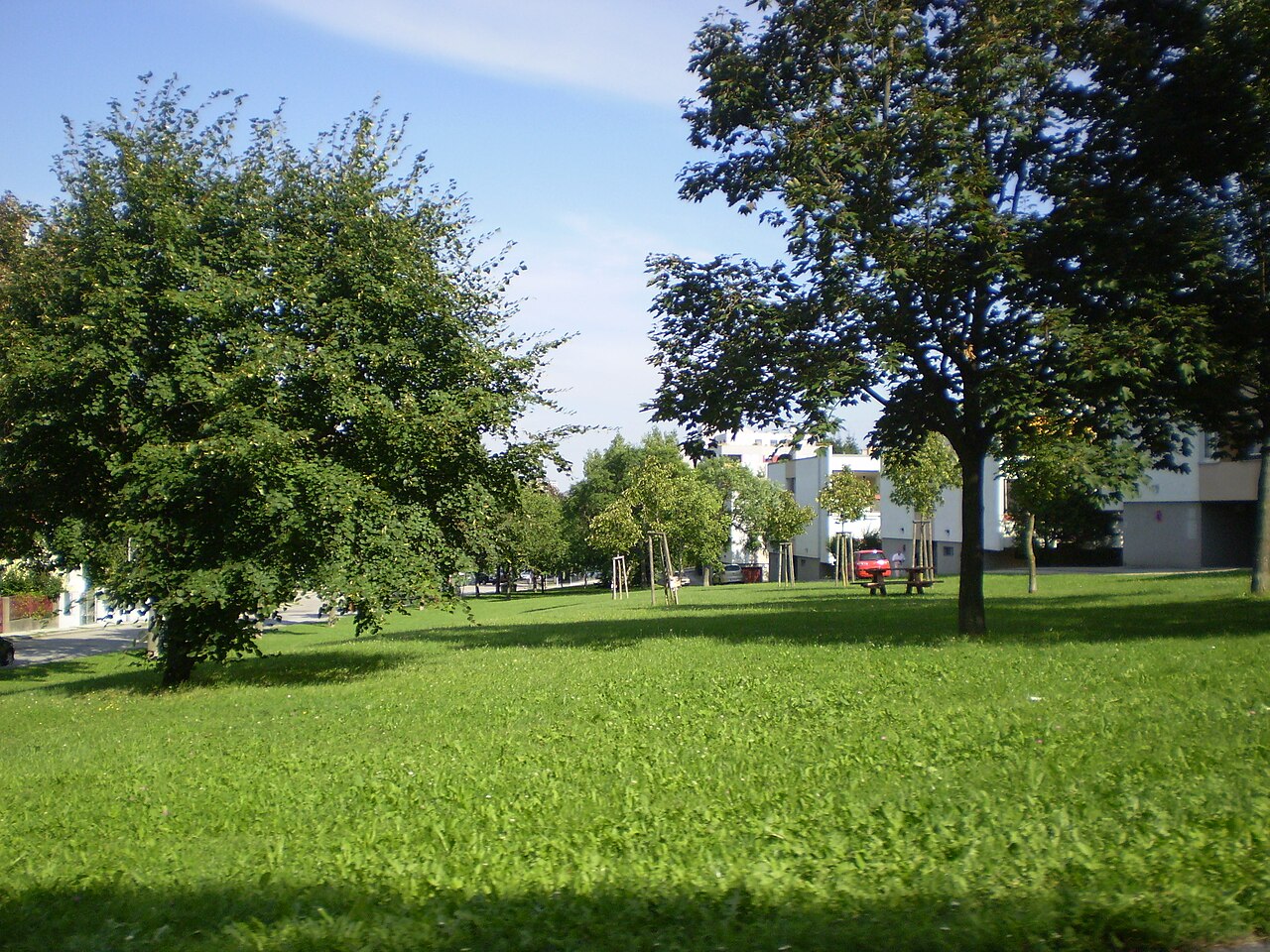 Steinberg