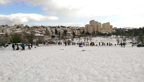 Sacher Park