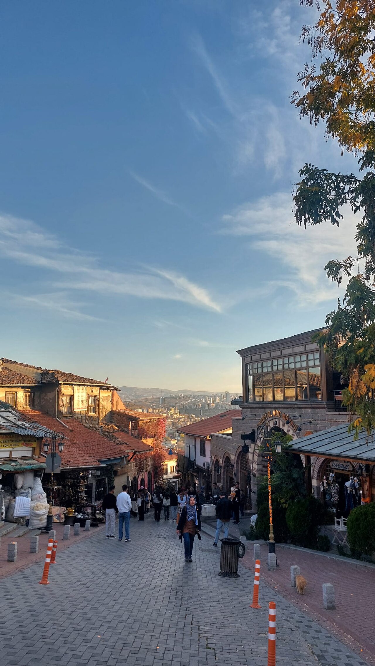 Una fotografia di Castello di Ankara