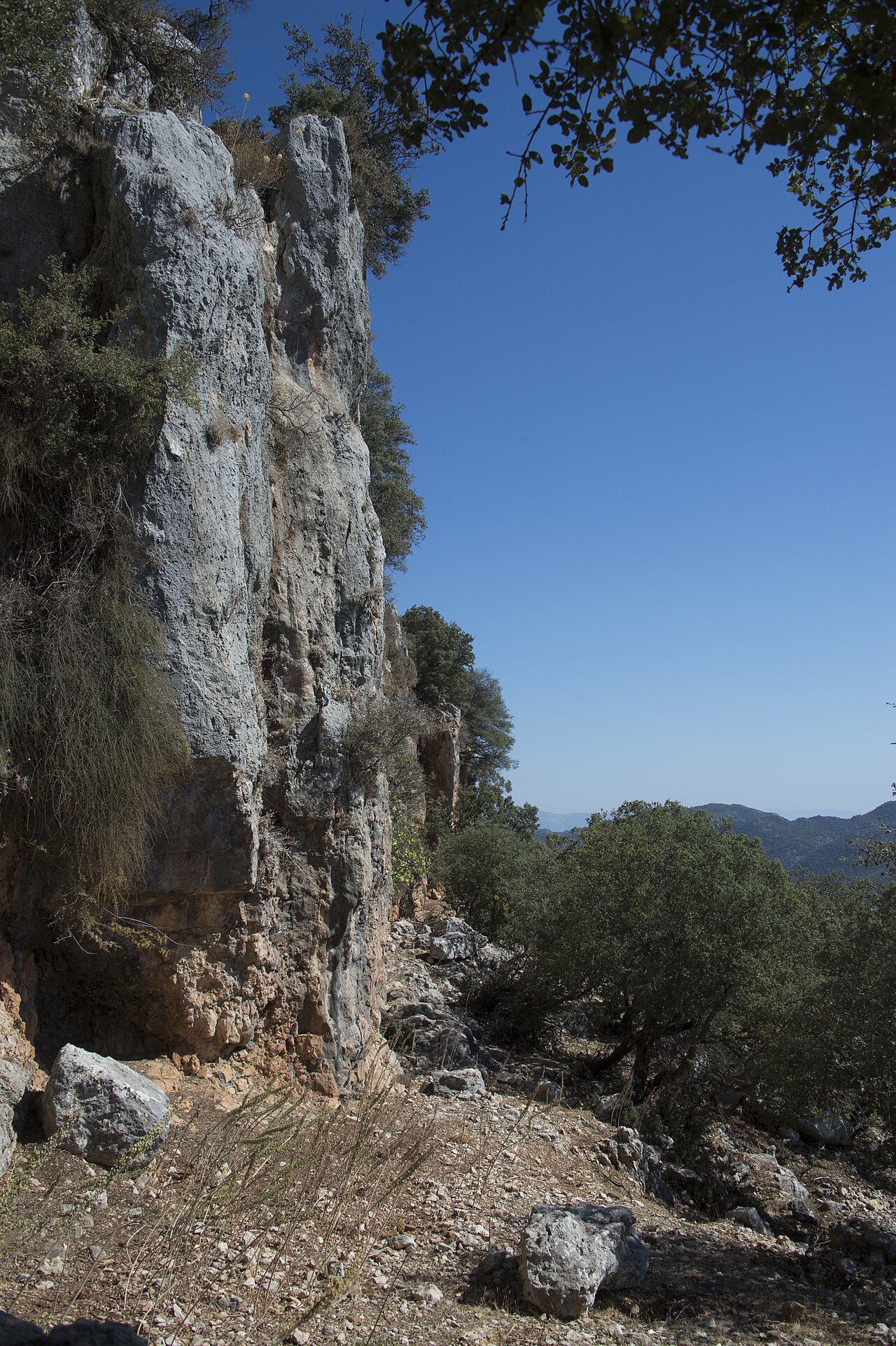 Una fotografia di Ciane