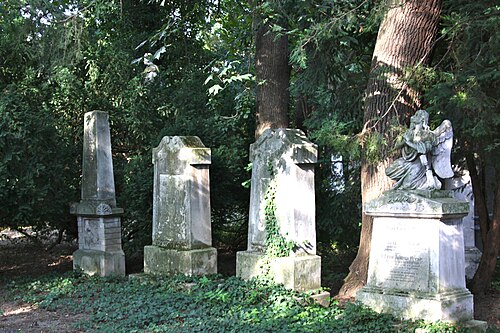 Cemetery Währinger Park