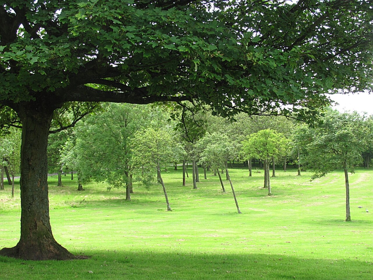 アレクサンドラ公園 の写真