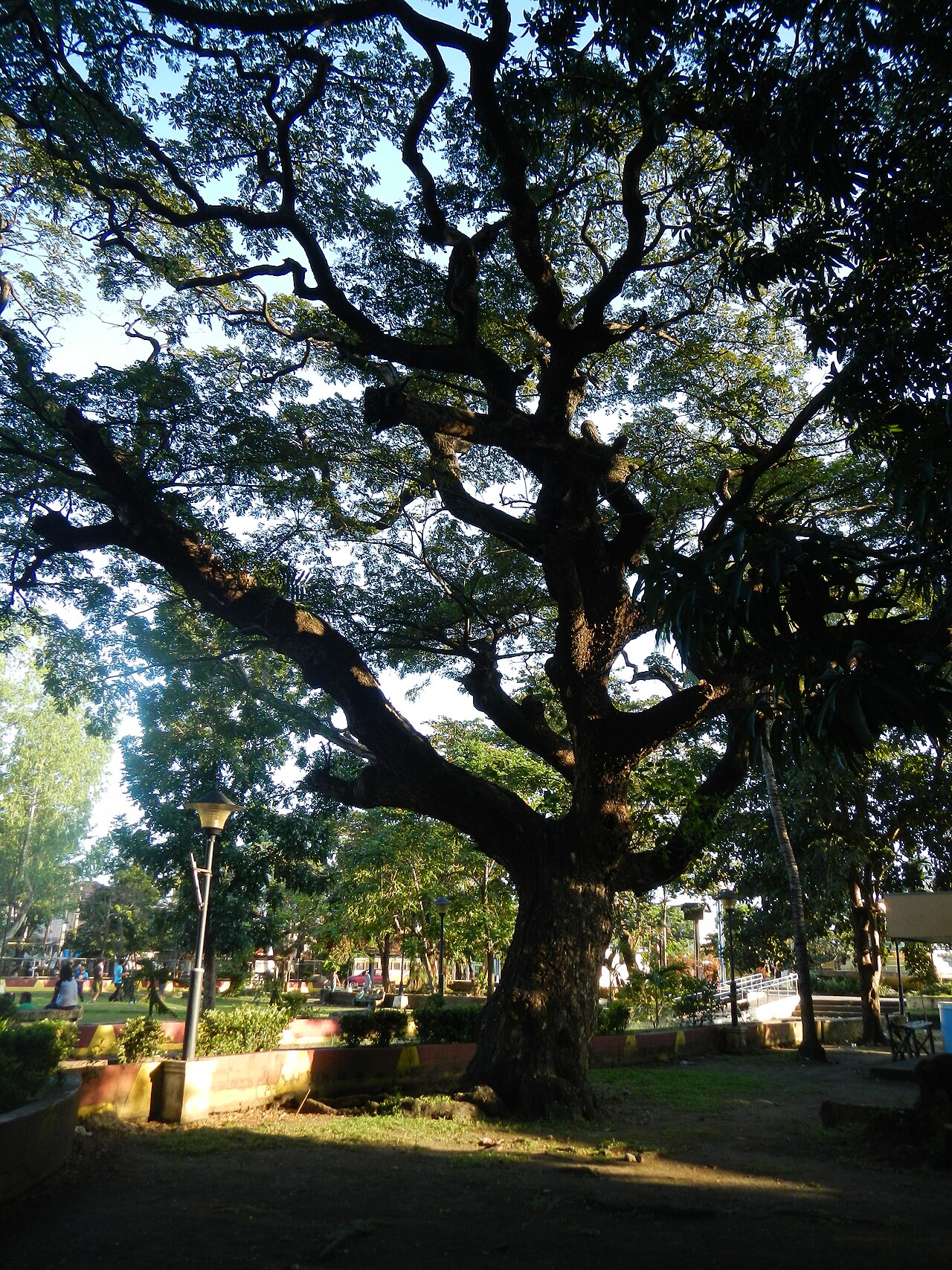 Ein Foto von Governors' Promenade
