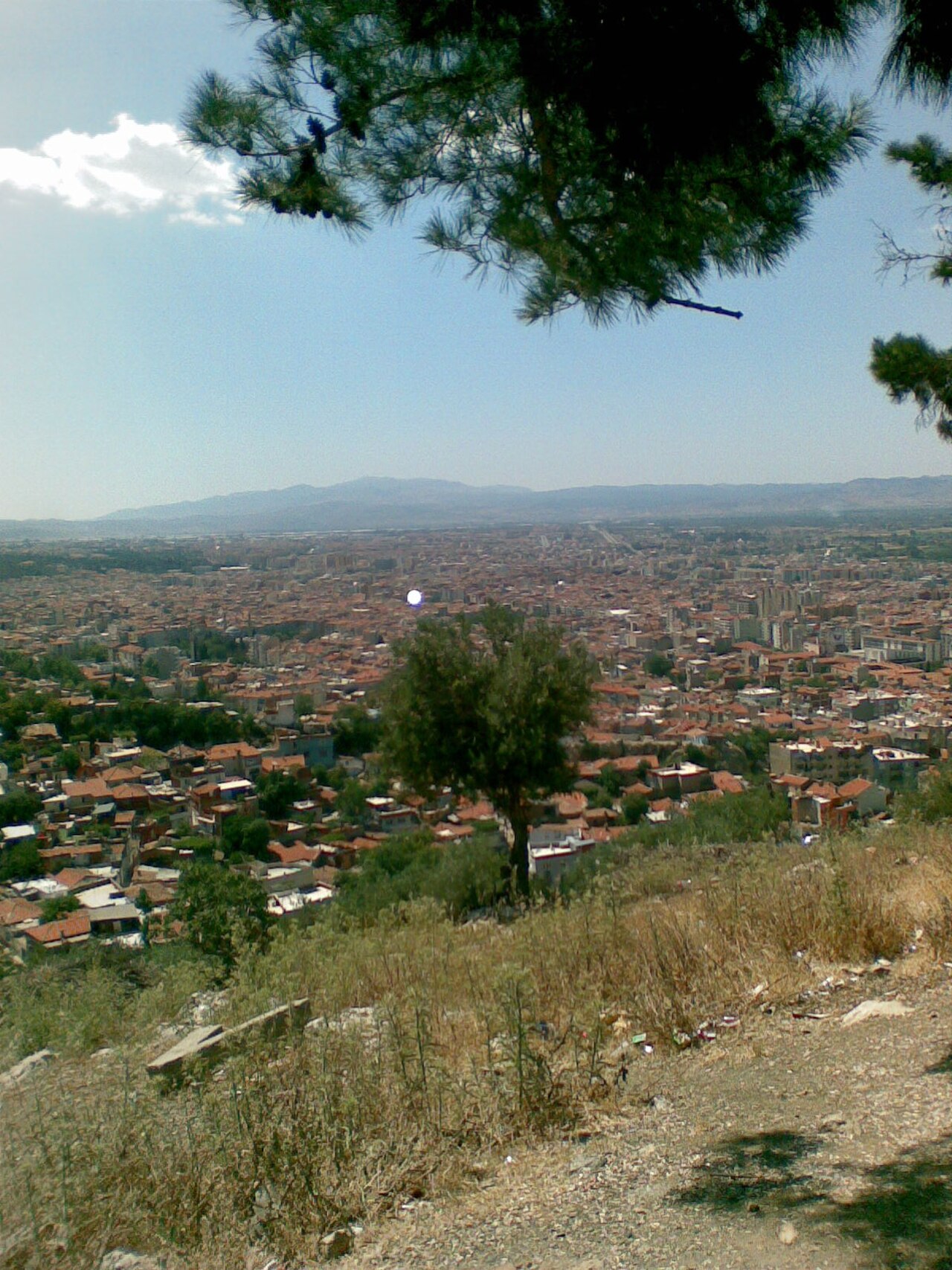 صورة Yunusemre
