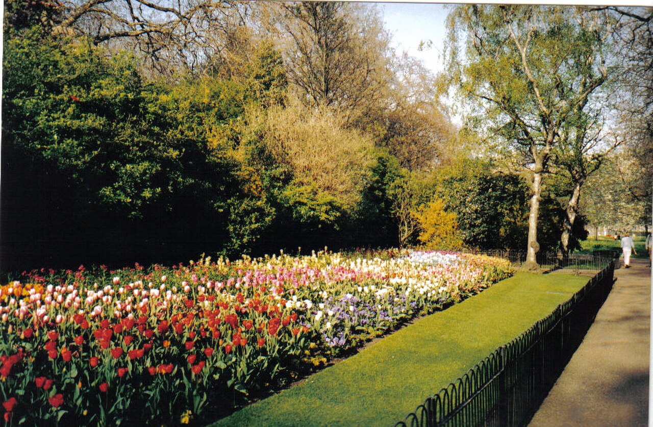 セント・ジェームズ・パーク (公園) の写真